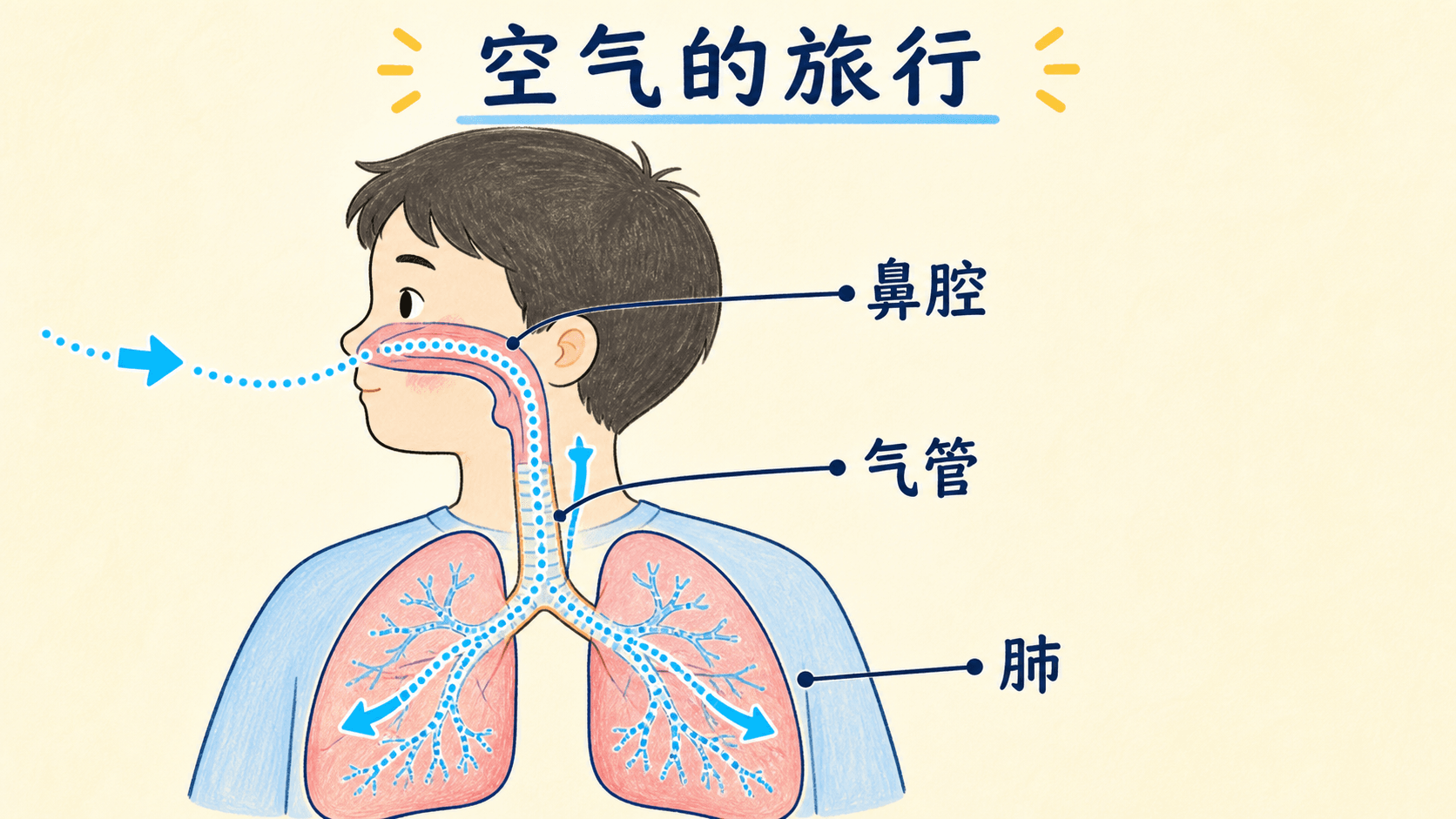 空气的旅行