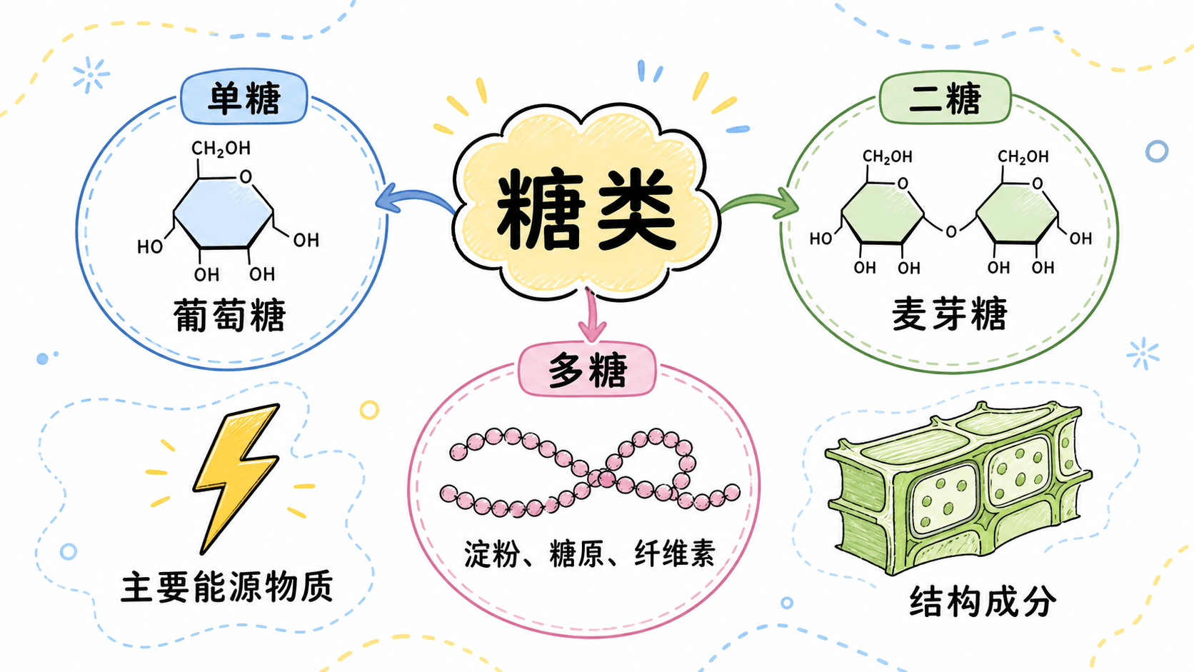 糖类家族:从单糖到多糖 糖类家族图:单糖、二糖与多糖的组成层级