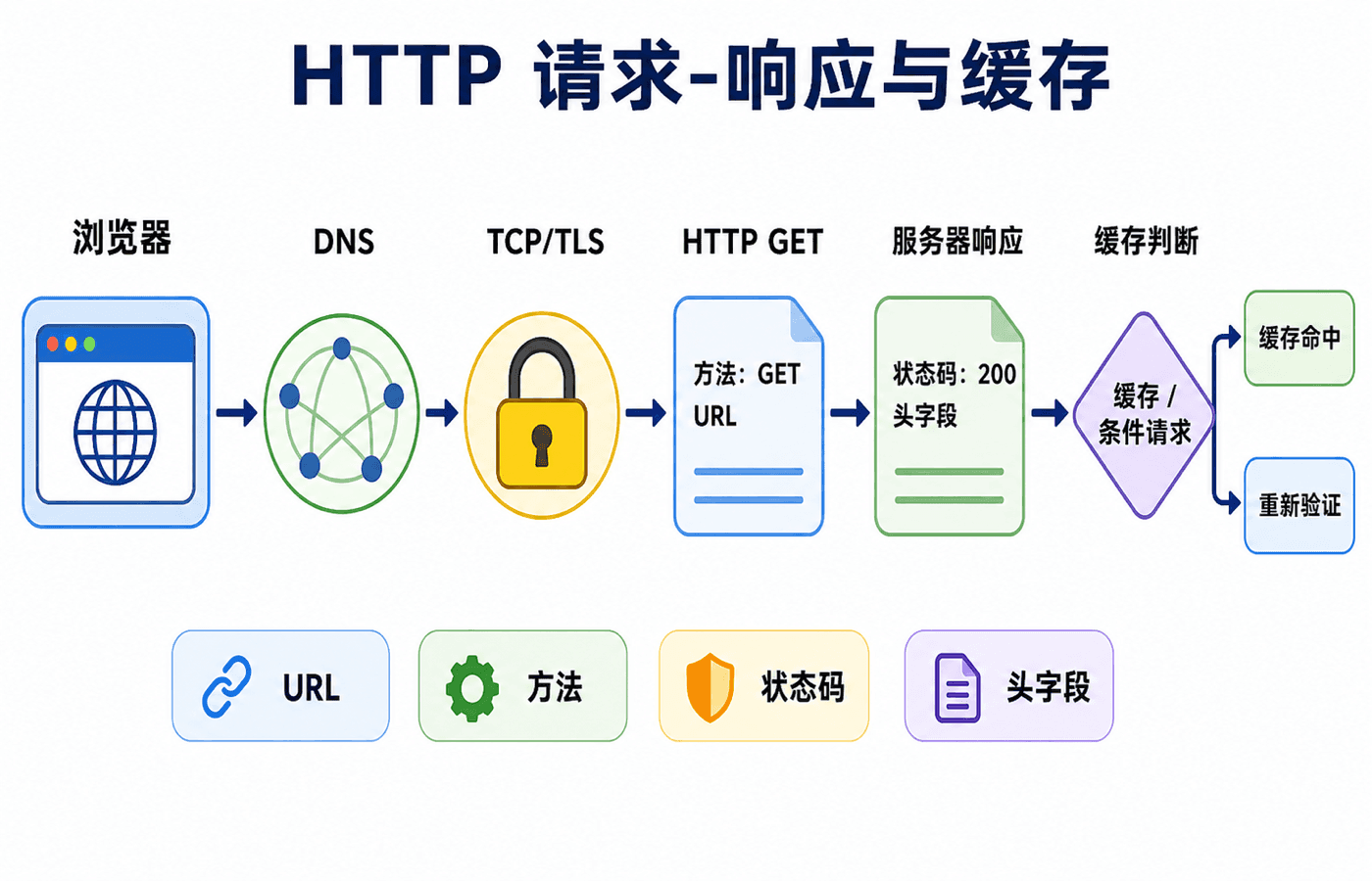 HTTP 请求响应与缓存:浏览器解析 URL,经 DNS、TCP/TLS 后发送 GET 请求,服务器返回状态码、头字段和表示,缓存根据 ETag 与 Cache-Control 判断是否复用。