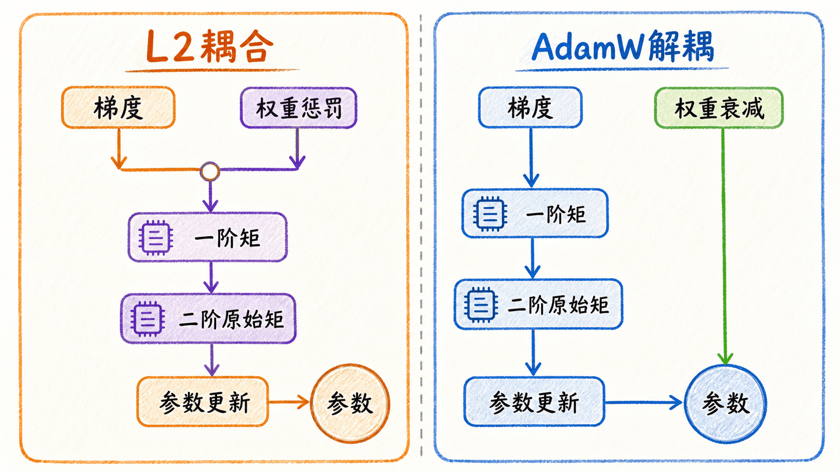 L2 正则进入 Adam 状态与 AdamW 解耦衰减对比