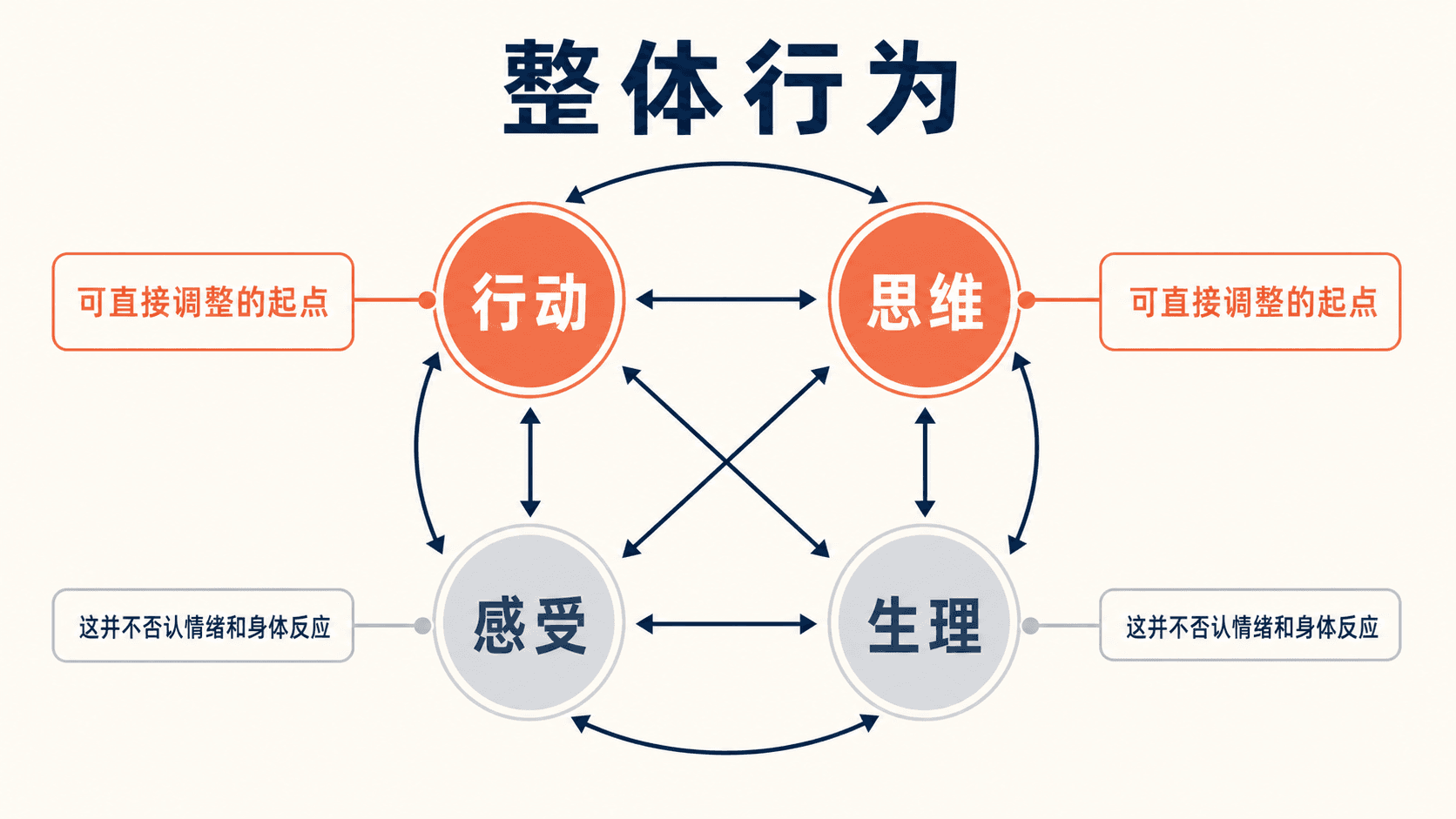 整体行为示意图:行动和想法是较容易直接调整的入口,并与感受、生理反应形成持续反馈。