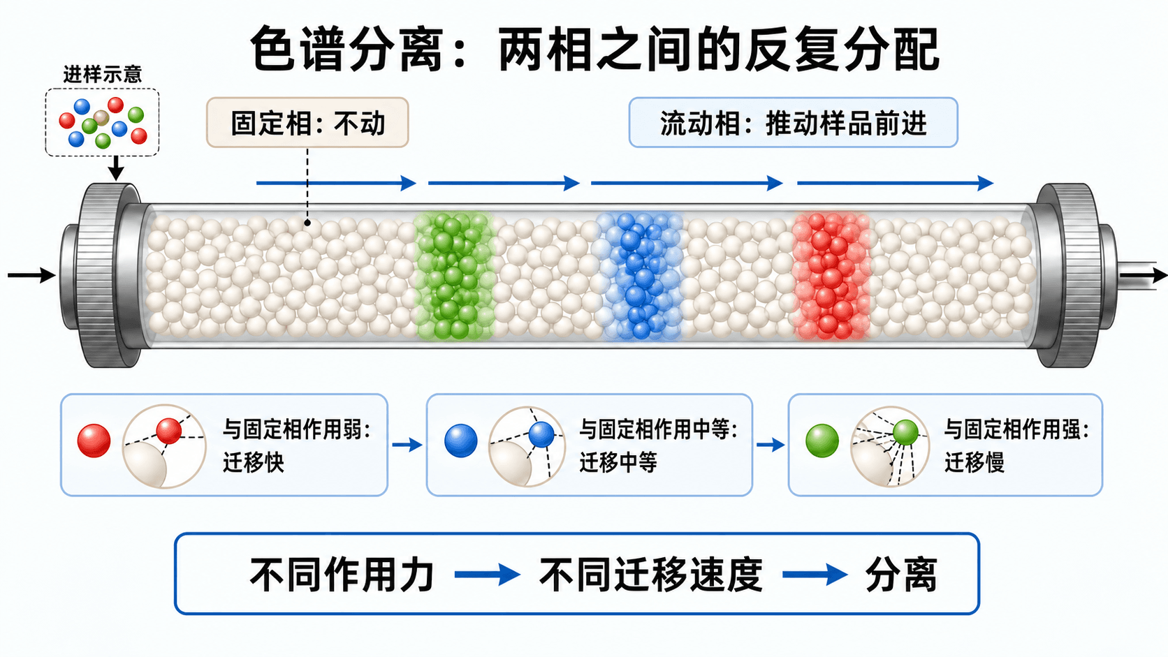 色谱分离中固定相、流动相与组分反复分配的示意