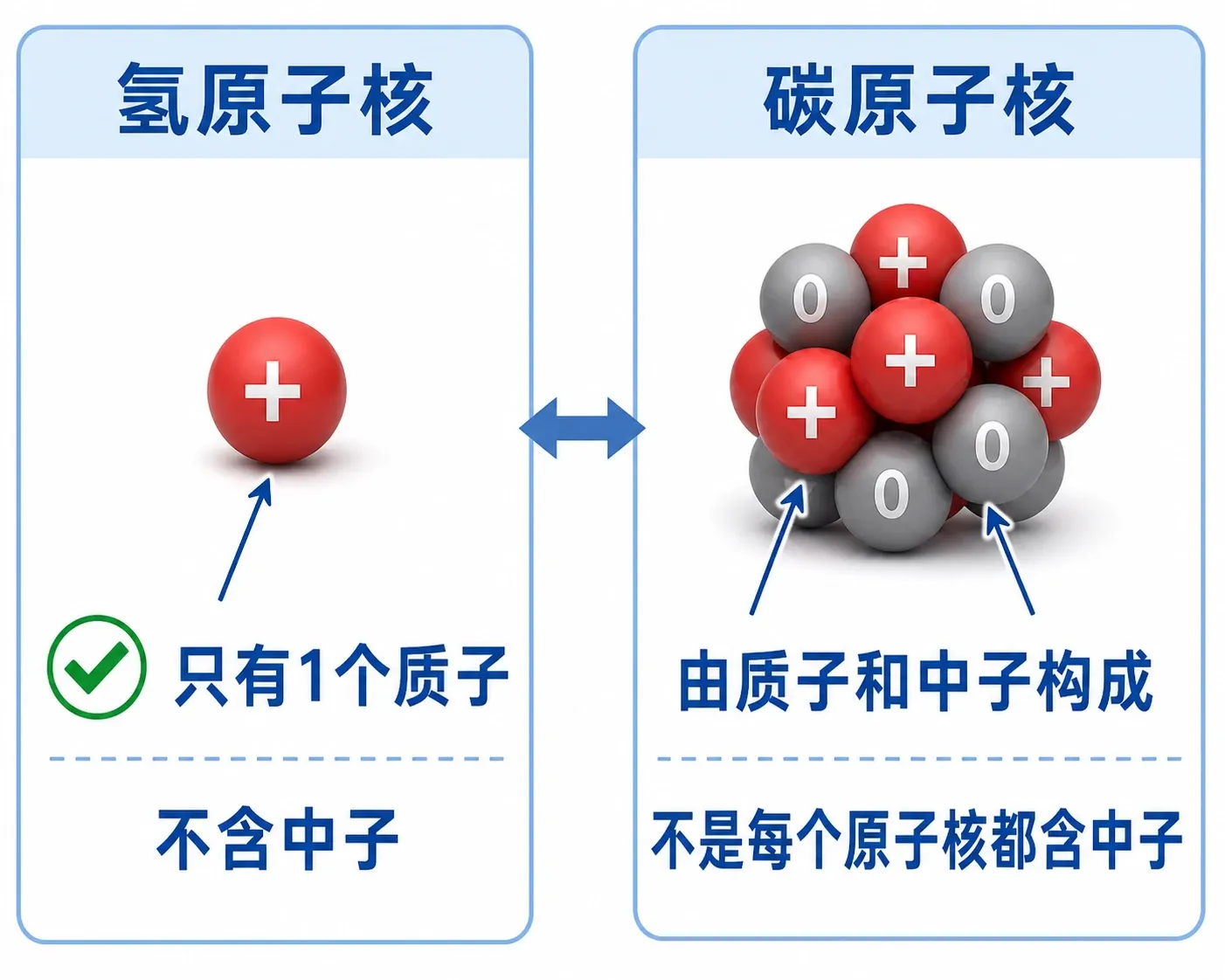 氢原子核通常只含一个质子，与含质子和中子的碳原子核对照