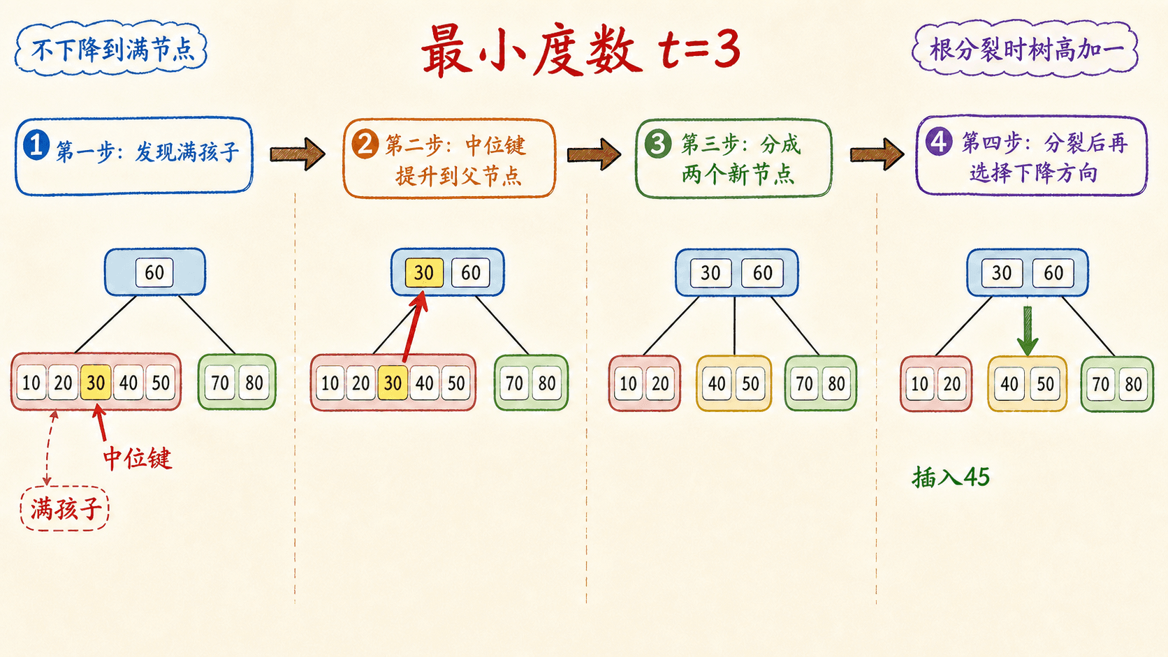 B 树满节点按中位键分裂及自顶向下插入路径