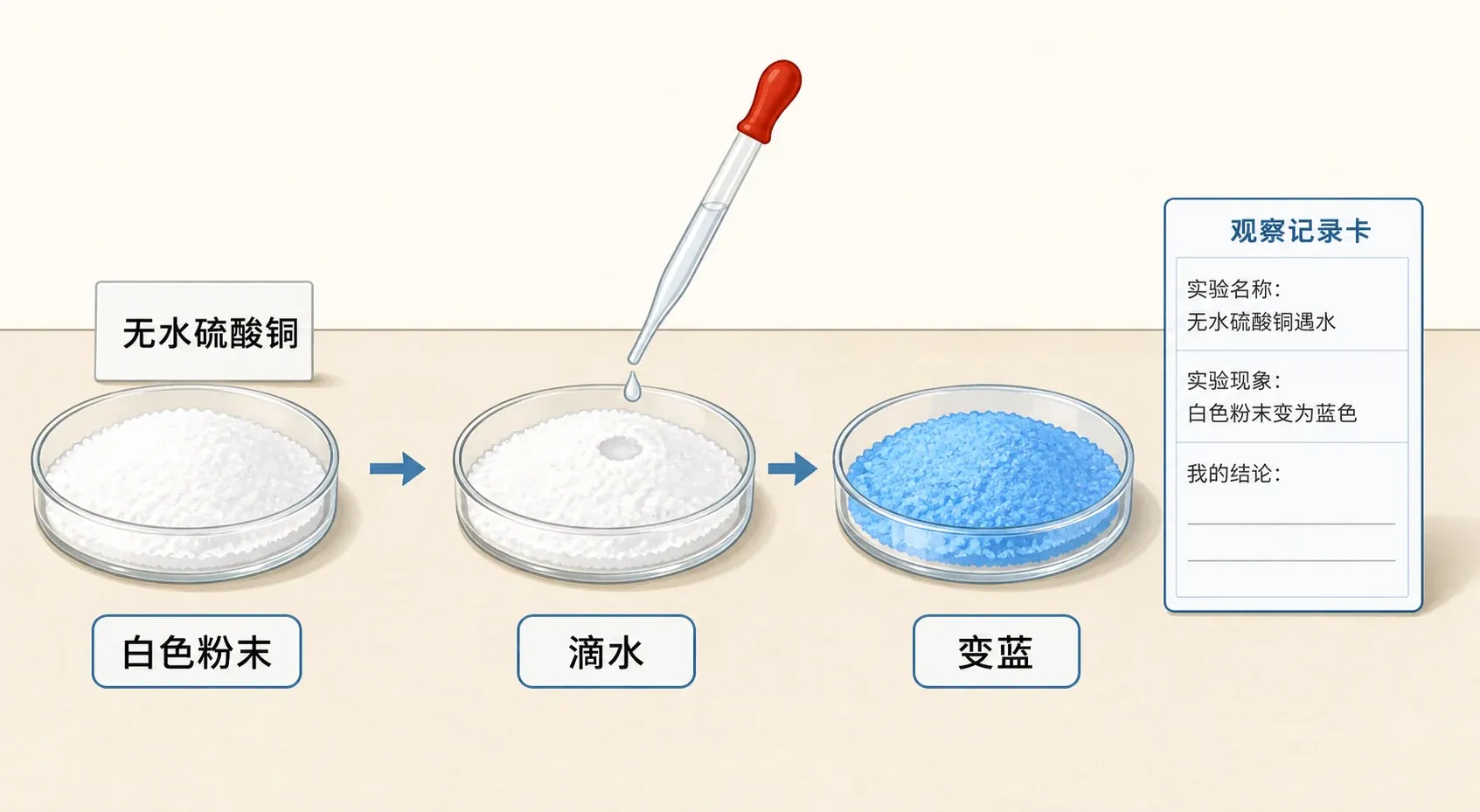 白色硫酸铜粉末遇水逐渐变蓝的前后对照