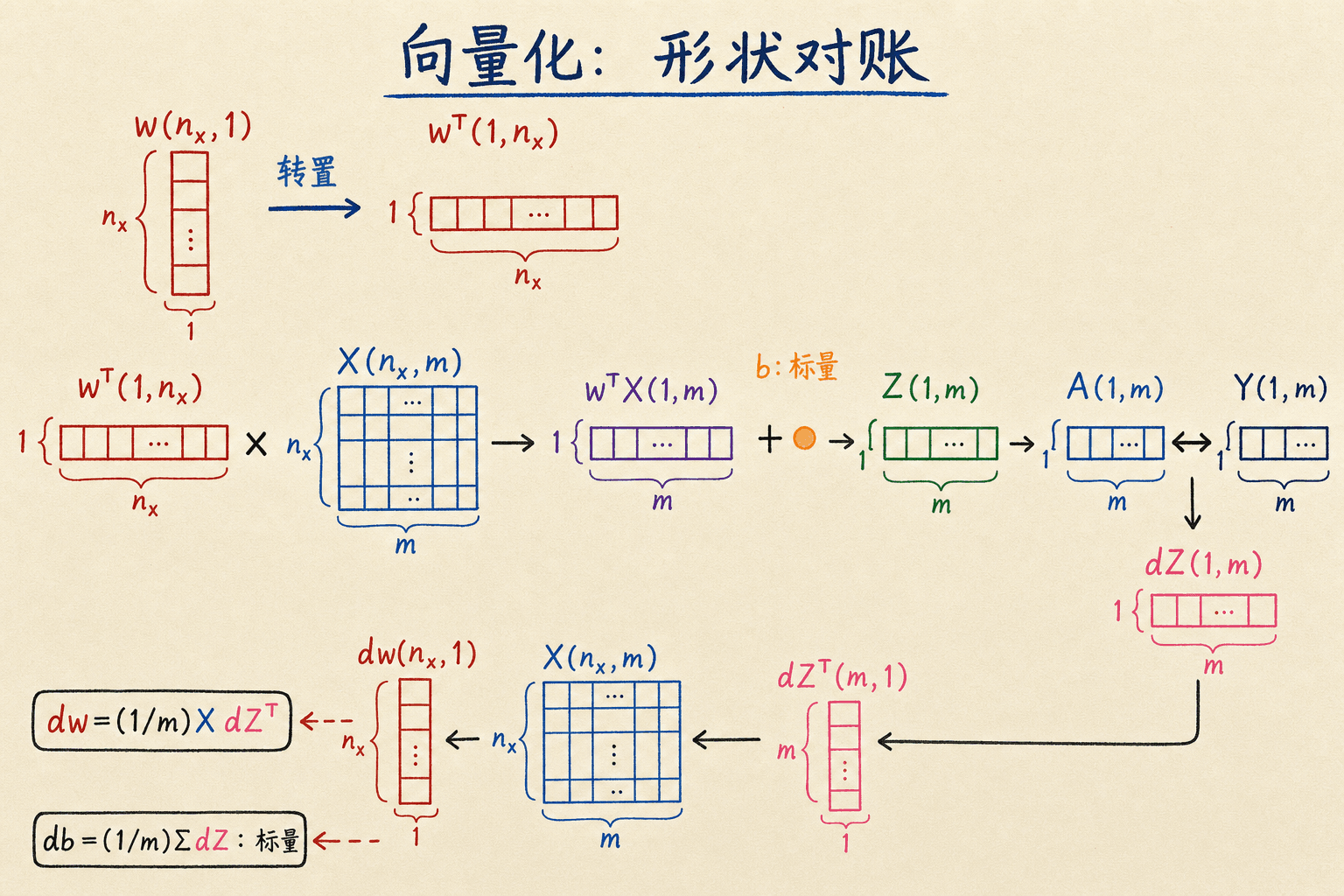 逻辑回归向量化计算中的矩阵形状对账