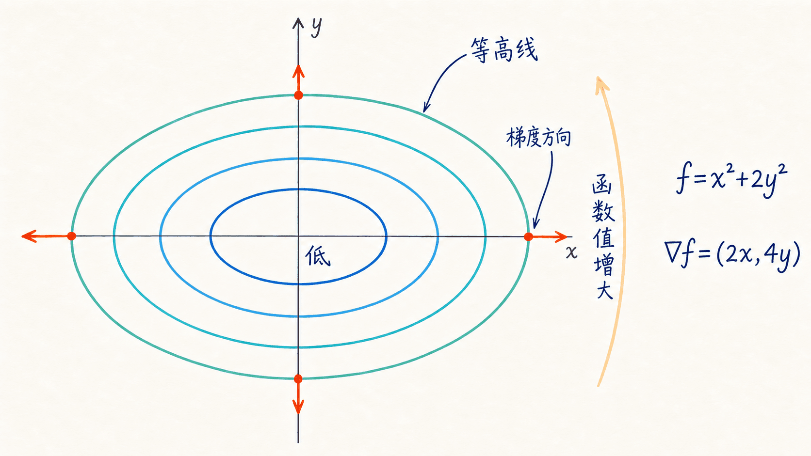 函数 f(x,y)=x²+2y² 的中文手绘彩色等高线图,同心椭圆中心低、外侧高,每个采样点的梯度箭头都垂直椭圆并唯一指向外侧。