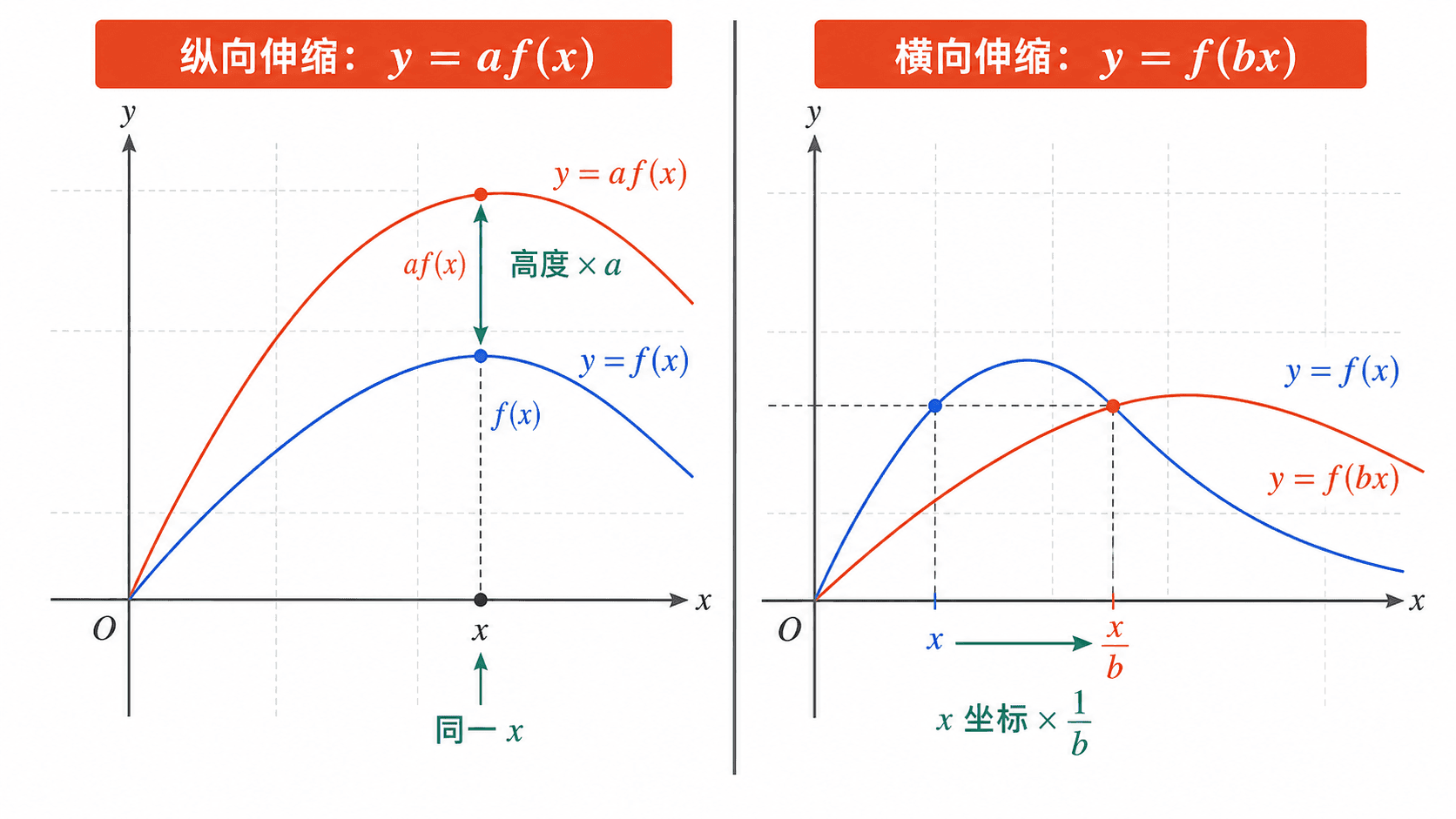 纵向伸缩与横向伸缩的并列示意，左侧显示高度按 a 倍变化，右侧显示横坐标按 1/b 倍变化。