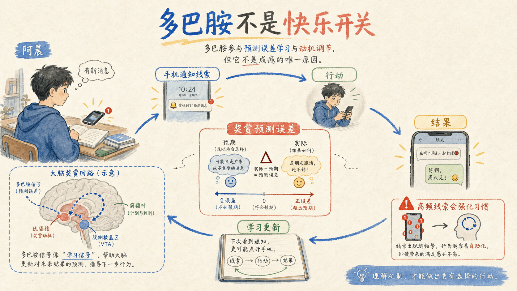 加压素帮助肾脏重吸收水分的闭环