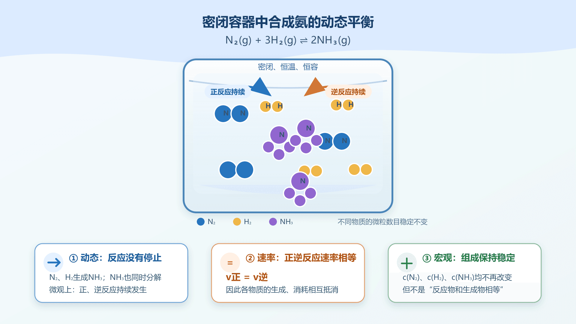 密闭制氨容器中正逆反应持续发生,平衡组成保持稳定的教学示意