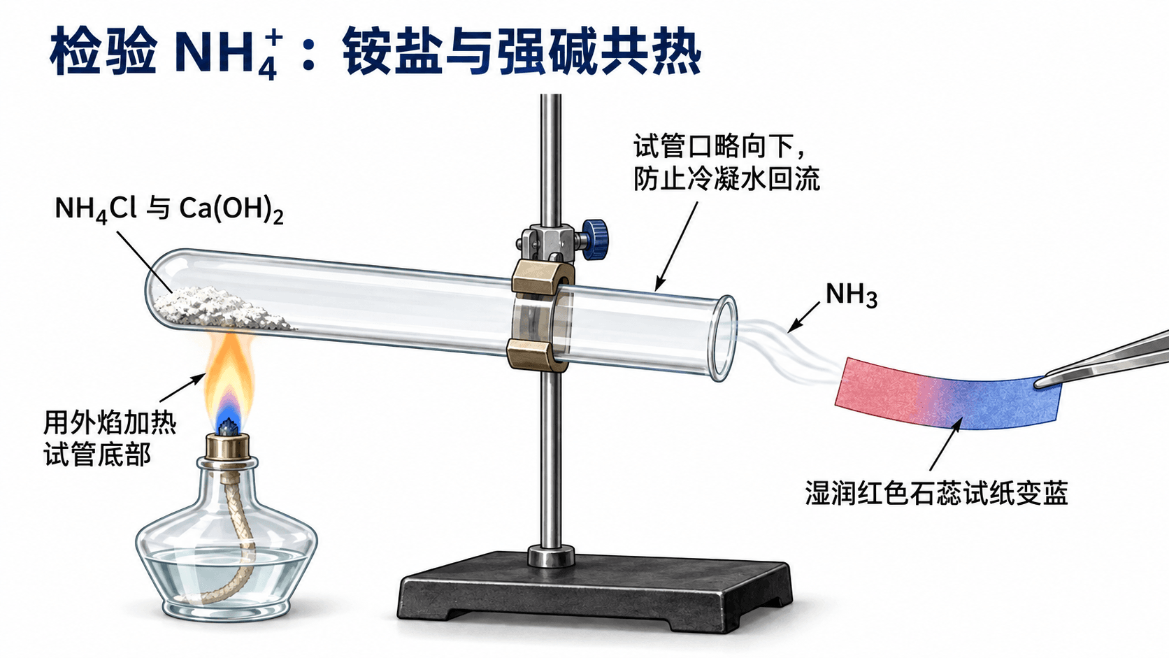 氯化铵与氢氧化钙固体共热,试管口略向下,湿润红色石蕊试纸检验氨