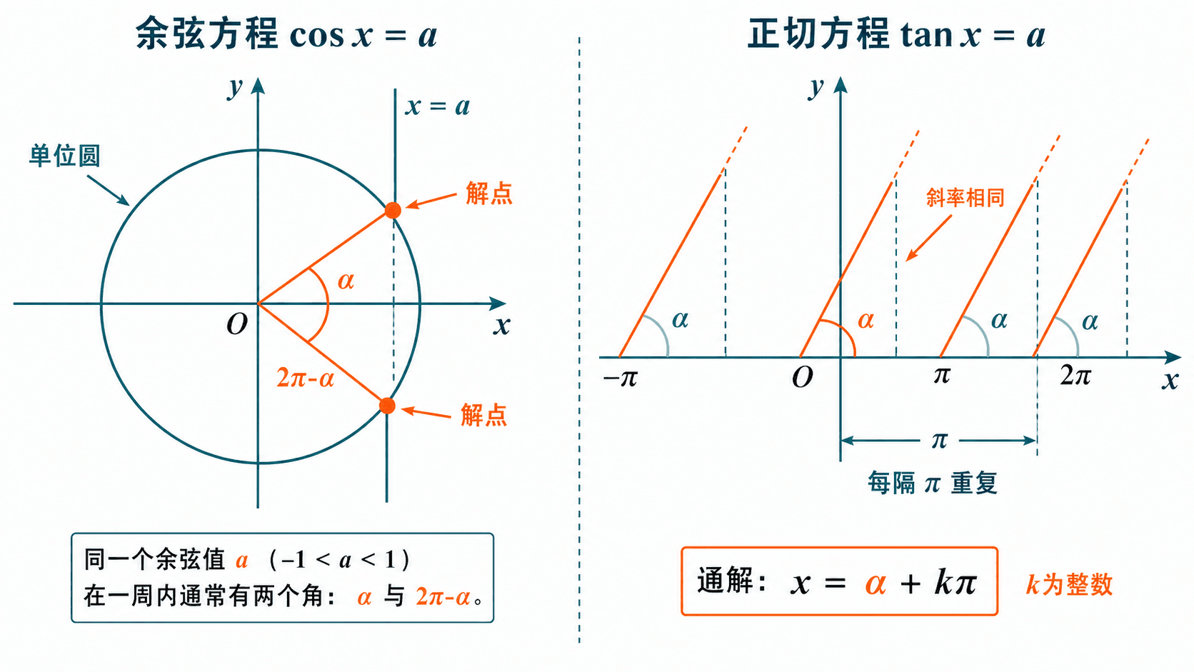 中文双栏教学图，对比余弦方程 cos x=a 在单位圆上一周内对应两个角，与正切方程 tan x=a 每隔 π 重复的通解形式。