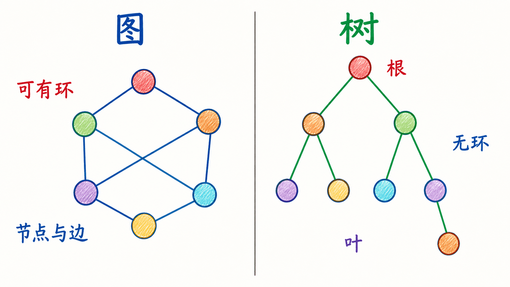 手绘彩色中文图示对照普通图与树:普通图可有环,树连通且无环,并标出根和叶