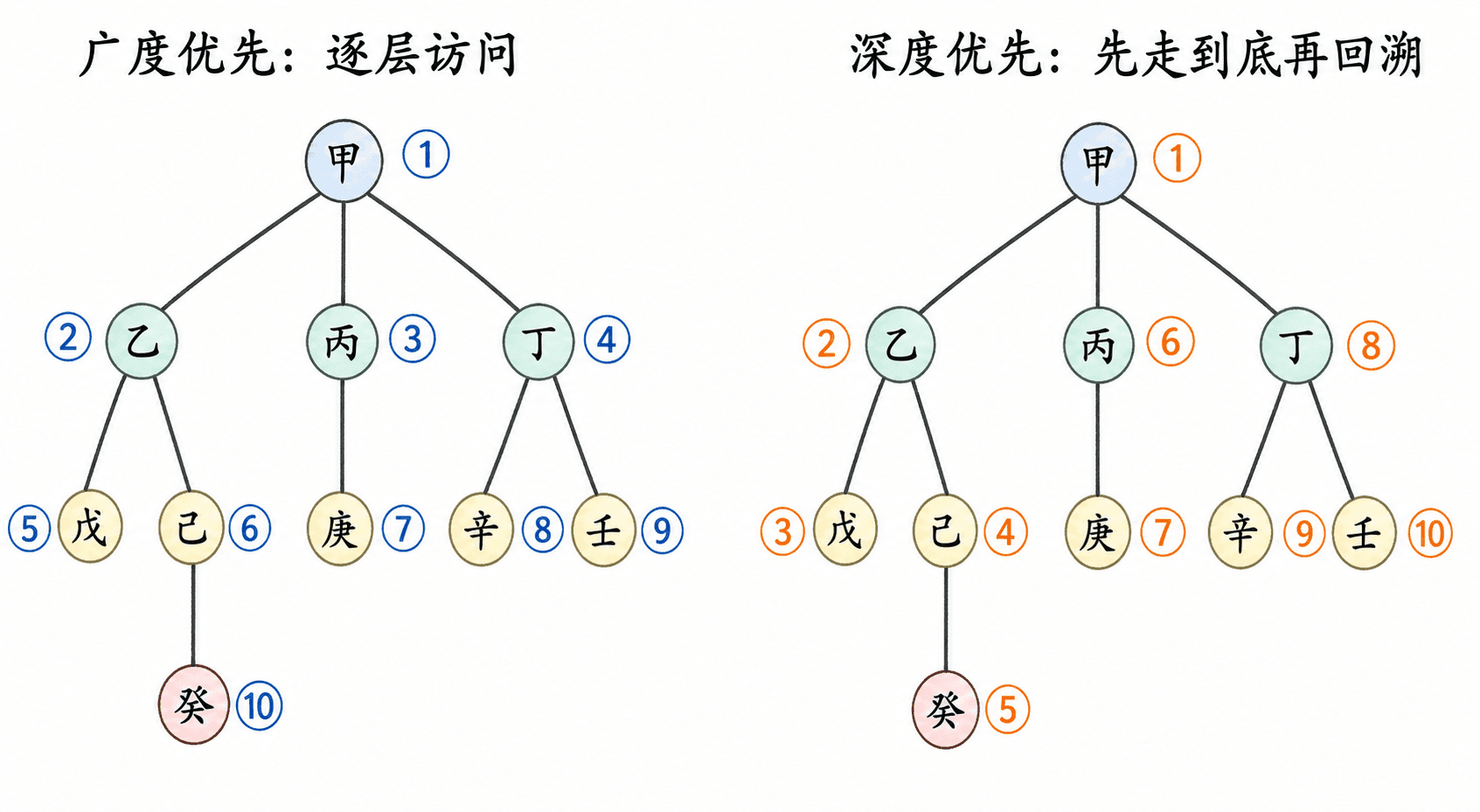 同一棵十节点根树的两种访问顺序,左侧按层标出广度优先序号,右侧按先走到底再回溯标出深度优先序号