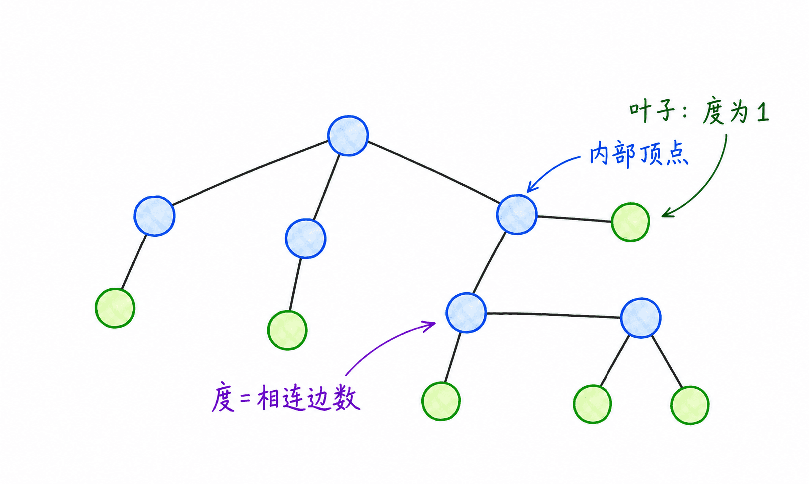 无根树中所有度为一的叶子用绿色圈出,内部顶点用蓝色圈出,并说明顶点的度等于相连边数