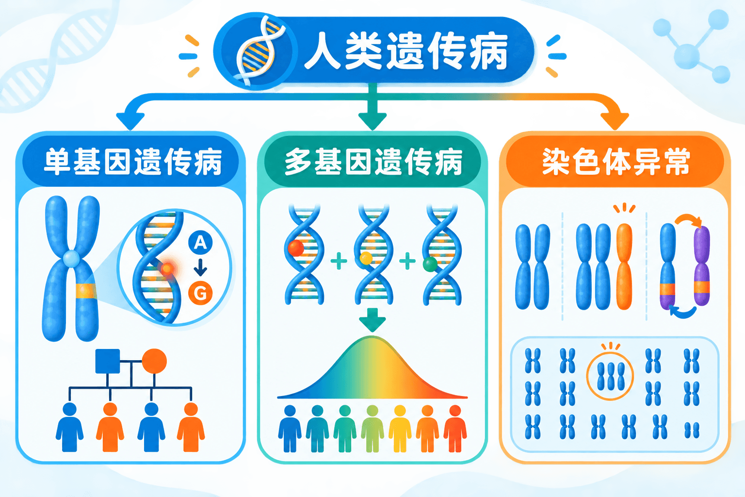 遗传病三类总览:单基因遗传病、多基因遗传病和染色体异常遗传病
