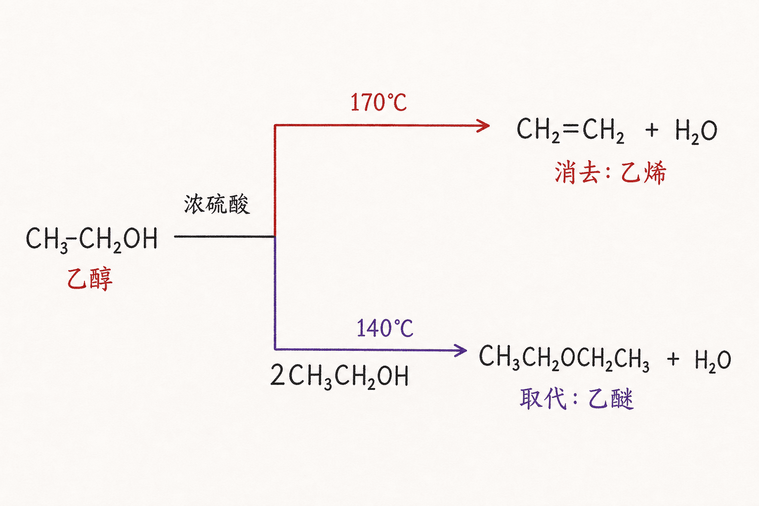 乙醇在不同条件下的反应分叉