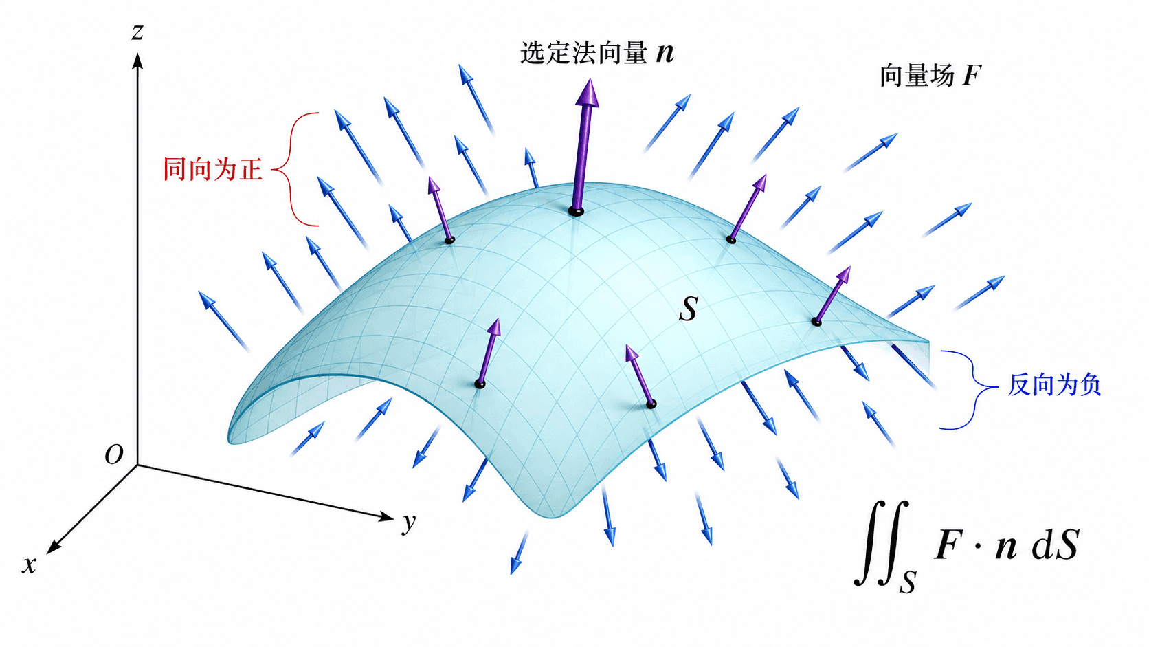 通量曲面积分示意图，向量场 F 穿过带有选定法向量 n 的定向曲面，同向贡献为正，反向贡献为负，并标出公式 ∫∫_S F·n dS。