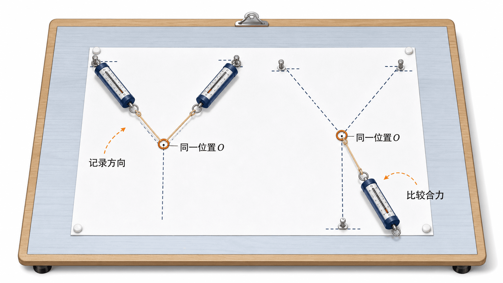 探究两个互成角度力的合成规律实验装置与记录要点