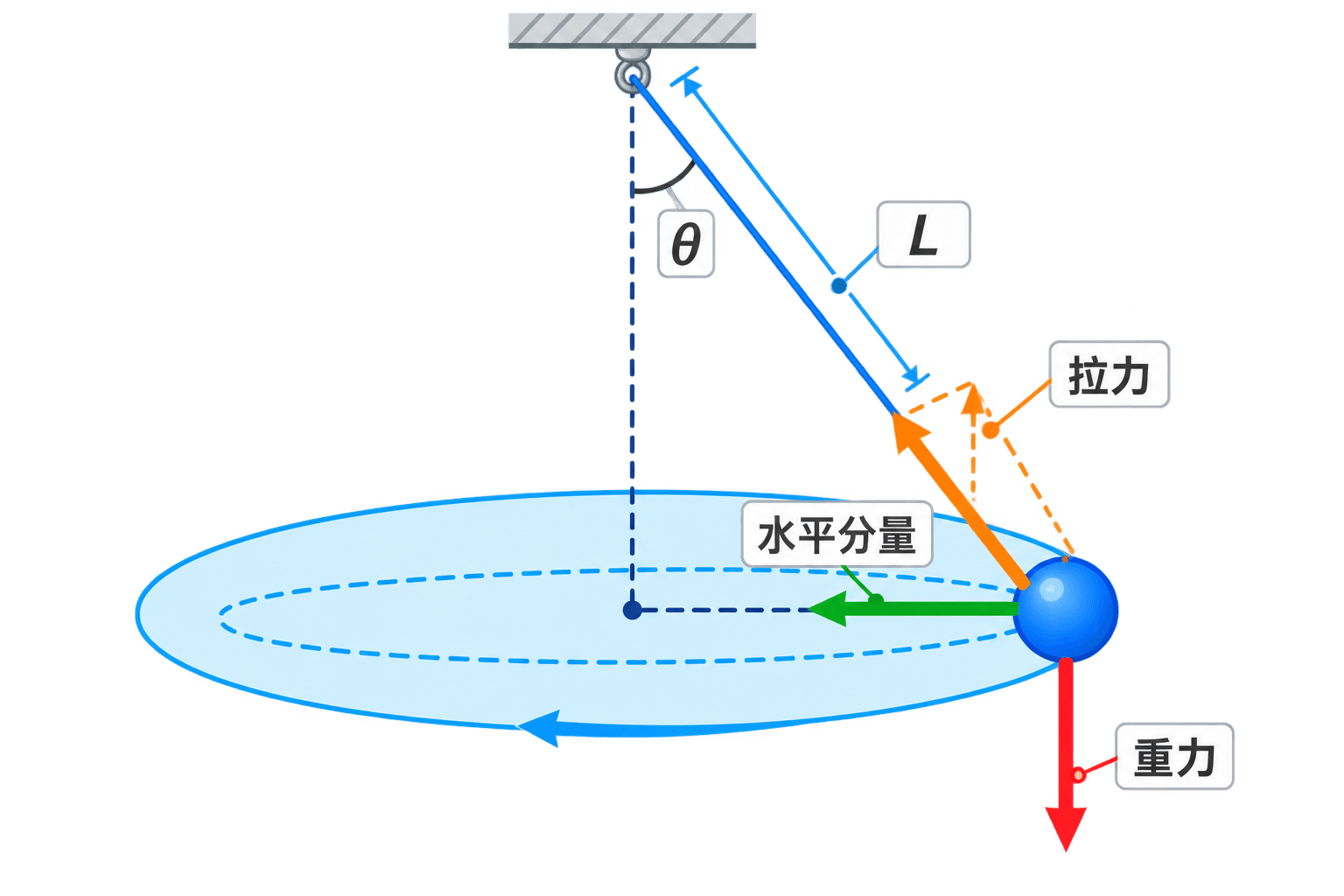 圆锥摆的摆线、夹角、轨迹半径和拉力分解示意