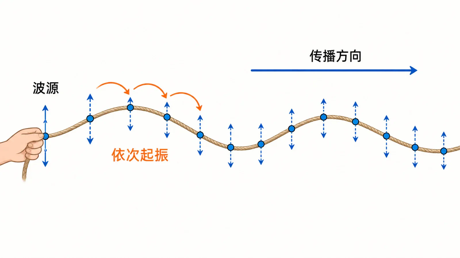 波源使绳上相邻质点依次起振