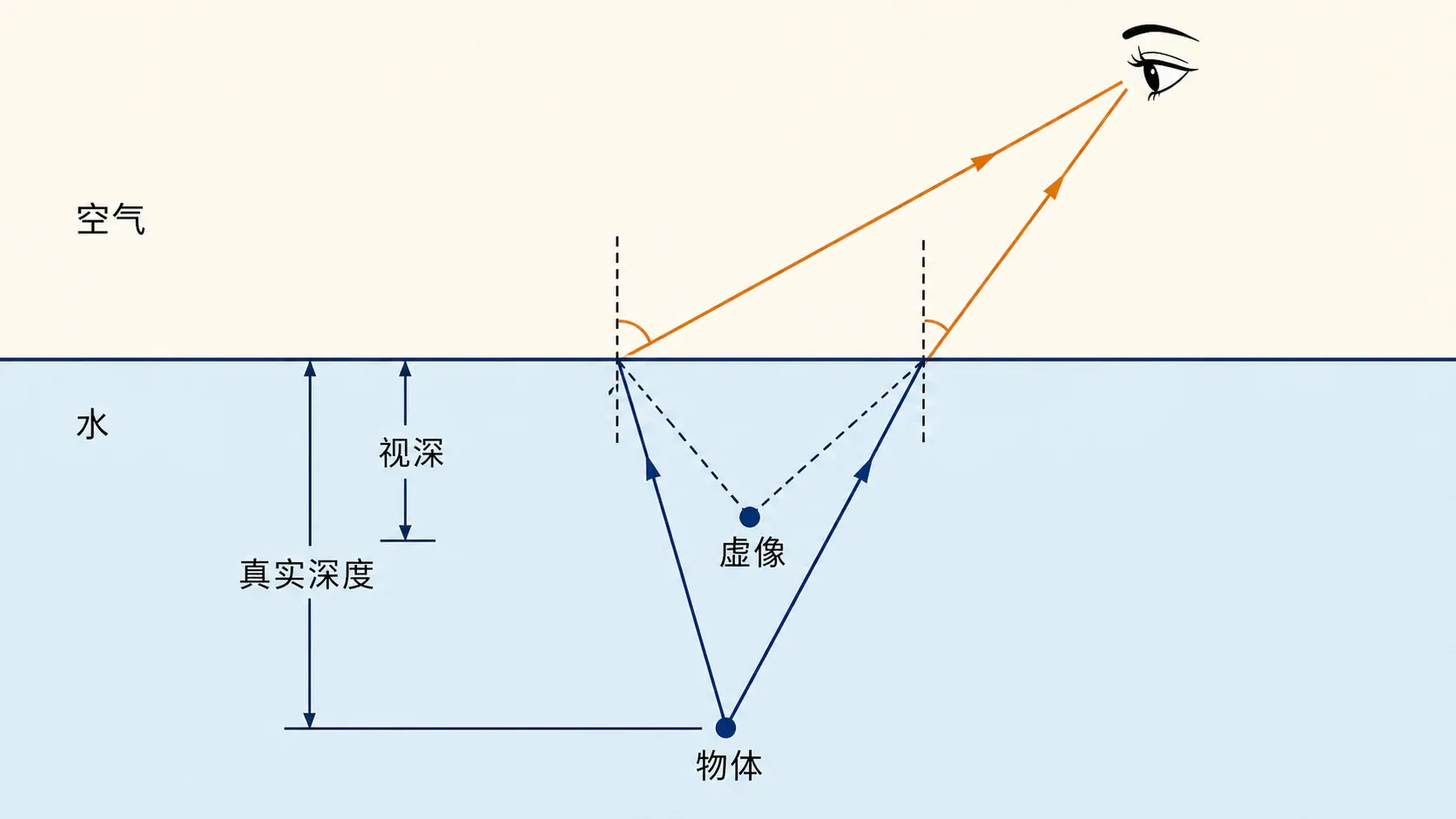 水中物体发出的光折射后进入人眼,反向延长线形成位置较浅的虚像