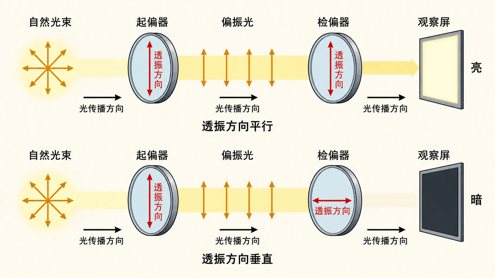 自然光经过起偏器和检偏器时的亮暗变化