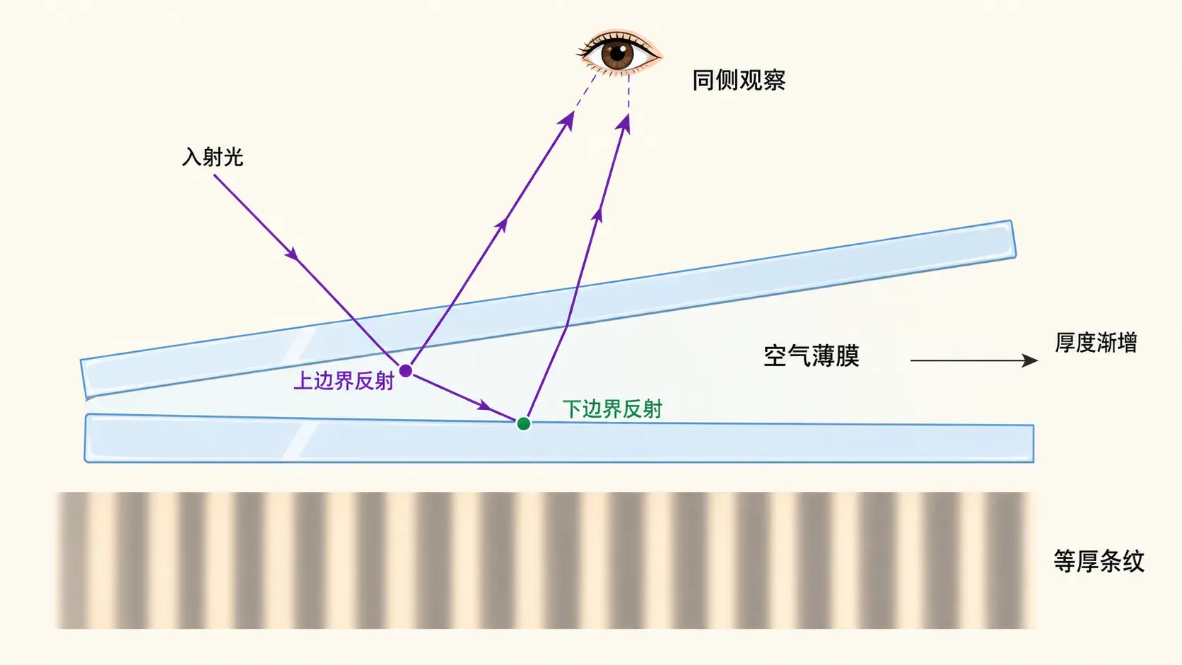 薄膜前后表面反射光形成干涉的示意