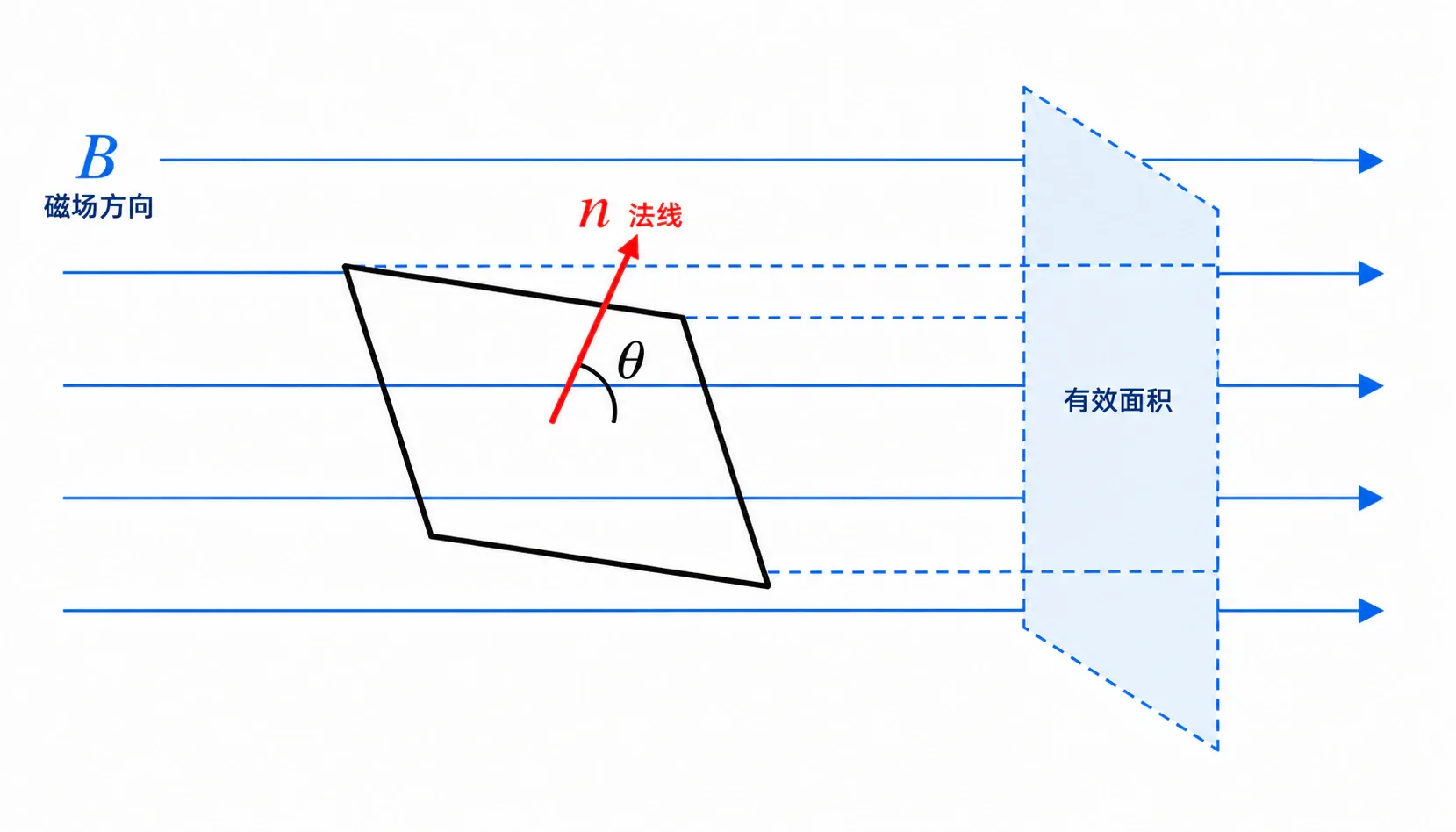 磁场与倾斜线圈法线的夹角决定有效面积