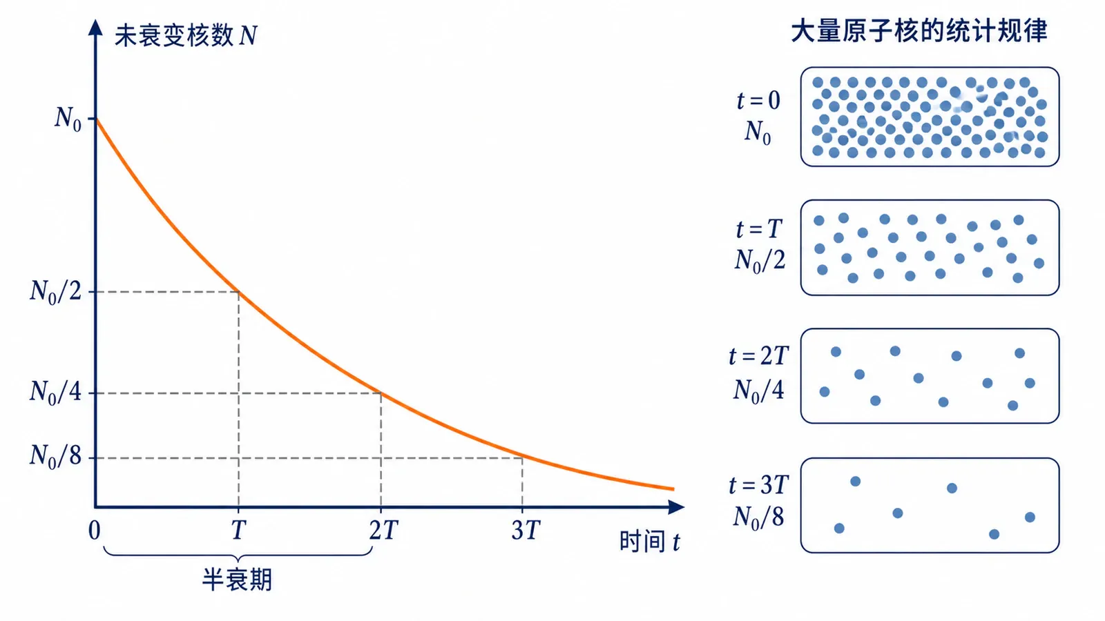 大量放射性原子核的半衰期统计规律