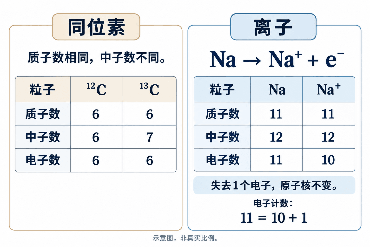 同位素保持相同质子数而中子数不同;原子失去或得到电子则形成离子,元素身份不变。