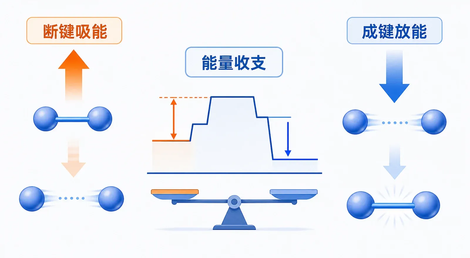 断键要投入能量,形成更稳定的新键会释放能量;比较反应前后的总能量,才能判断反应整体吸热还是放热。