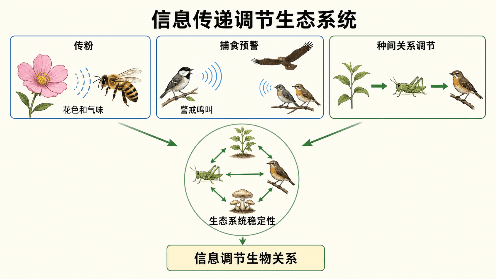 花色花蜜信号吸引传粉昆虫、捕食预警与种间关系调节的生态信息网络图