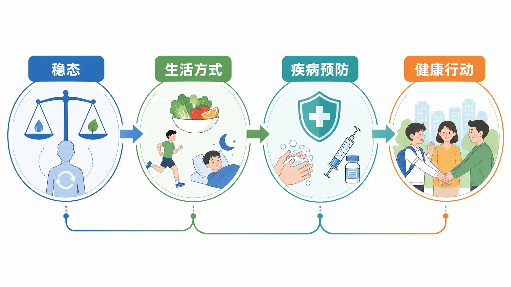 健康生活与疾病预防知识网络:从稳态到行动的完整推理链