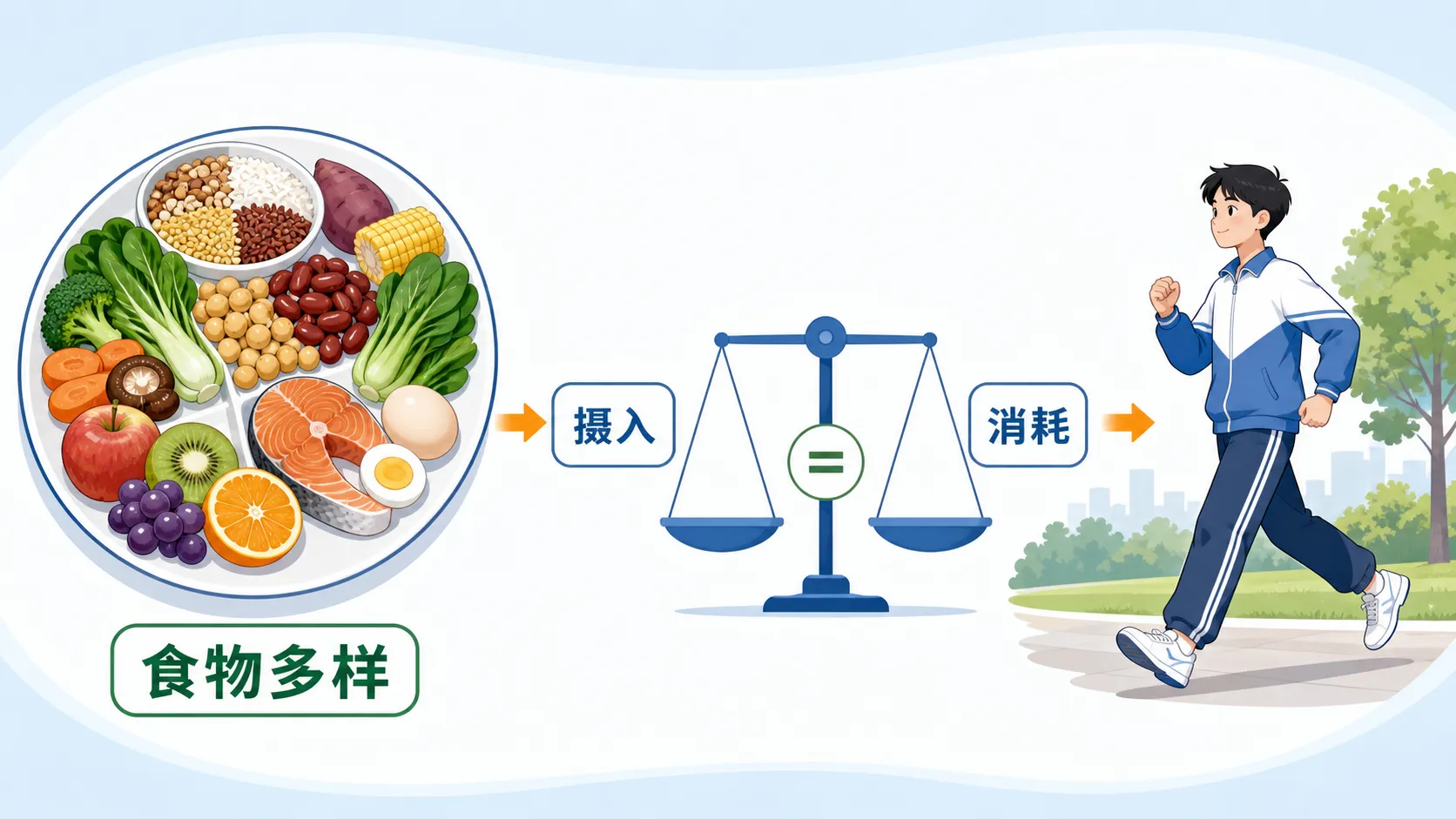 合理膳食与能量平衡:不同食物共同支持生长、活动与稳态