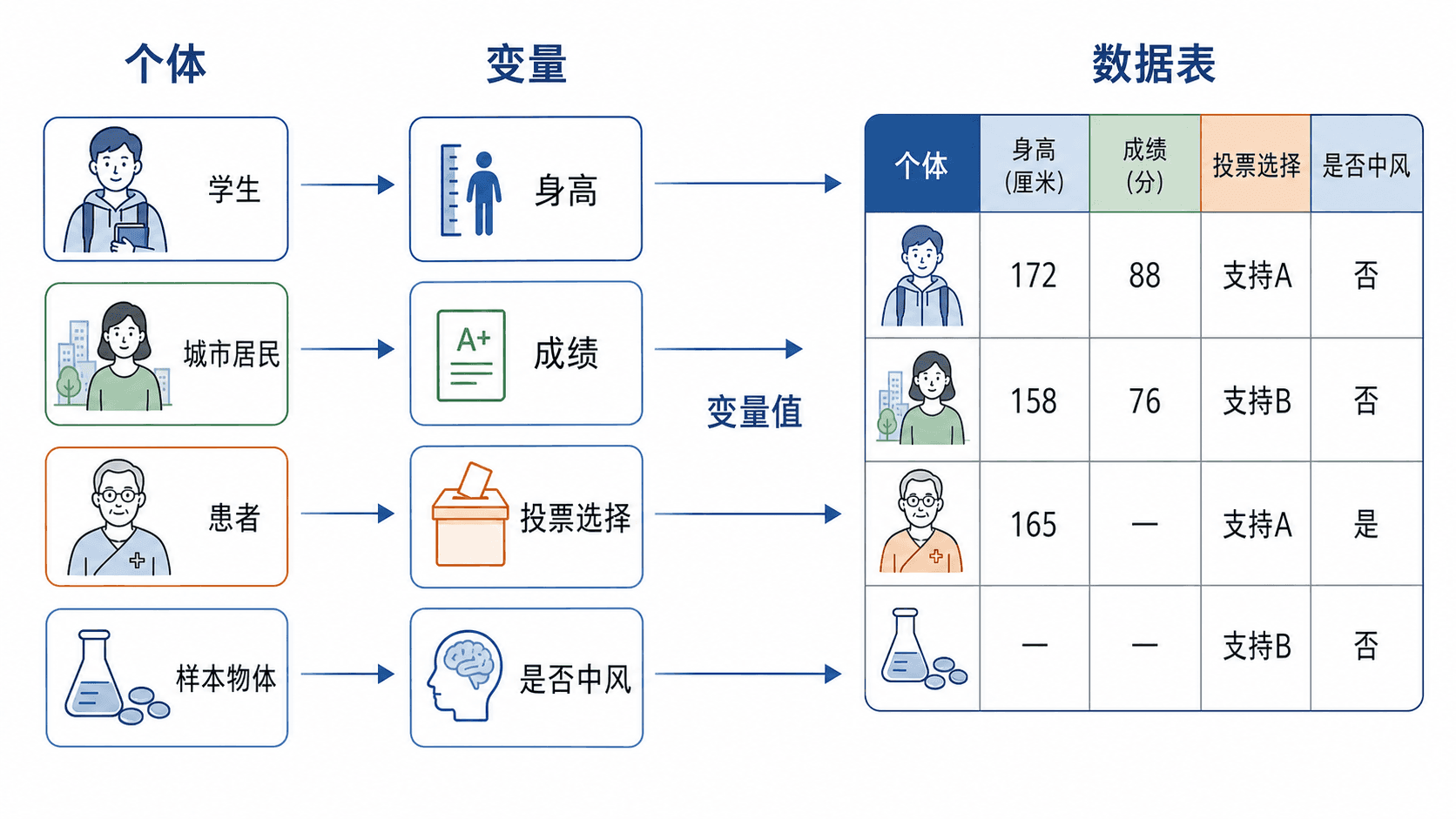 个体卡片上的多个变量值汇成右侧数据表