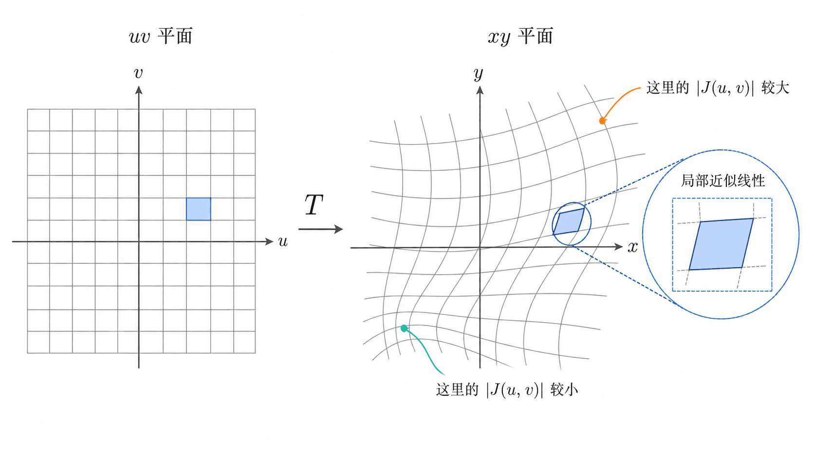 非线性变量变换下，uv 平面的规则小网格被映到 xy 平面的弯曲网格；局部小区域可近似为平行四边形，并显示 Jacobian 随位置变化。