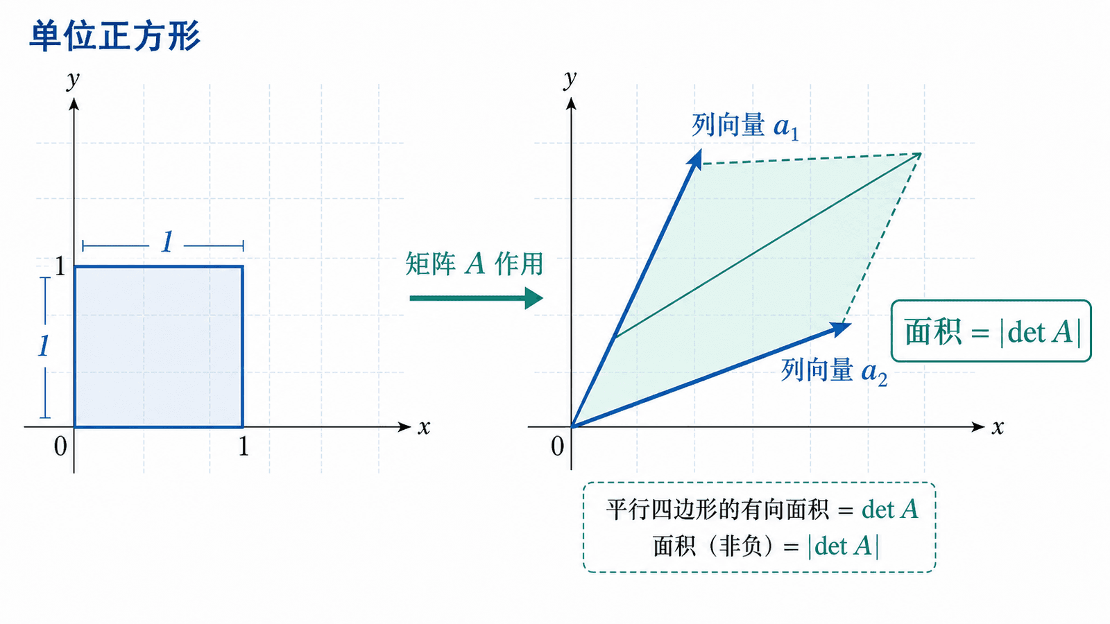 二维行列式面积缩放示意图：单位正方形经矩阵 A 作用后变为由列向量 a1、a2 张成的平行四边形，面积为 |det A|。