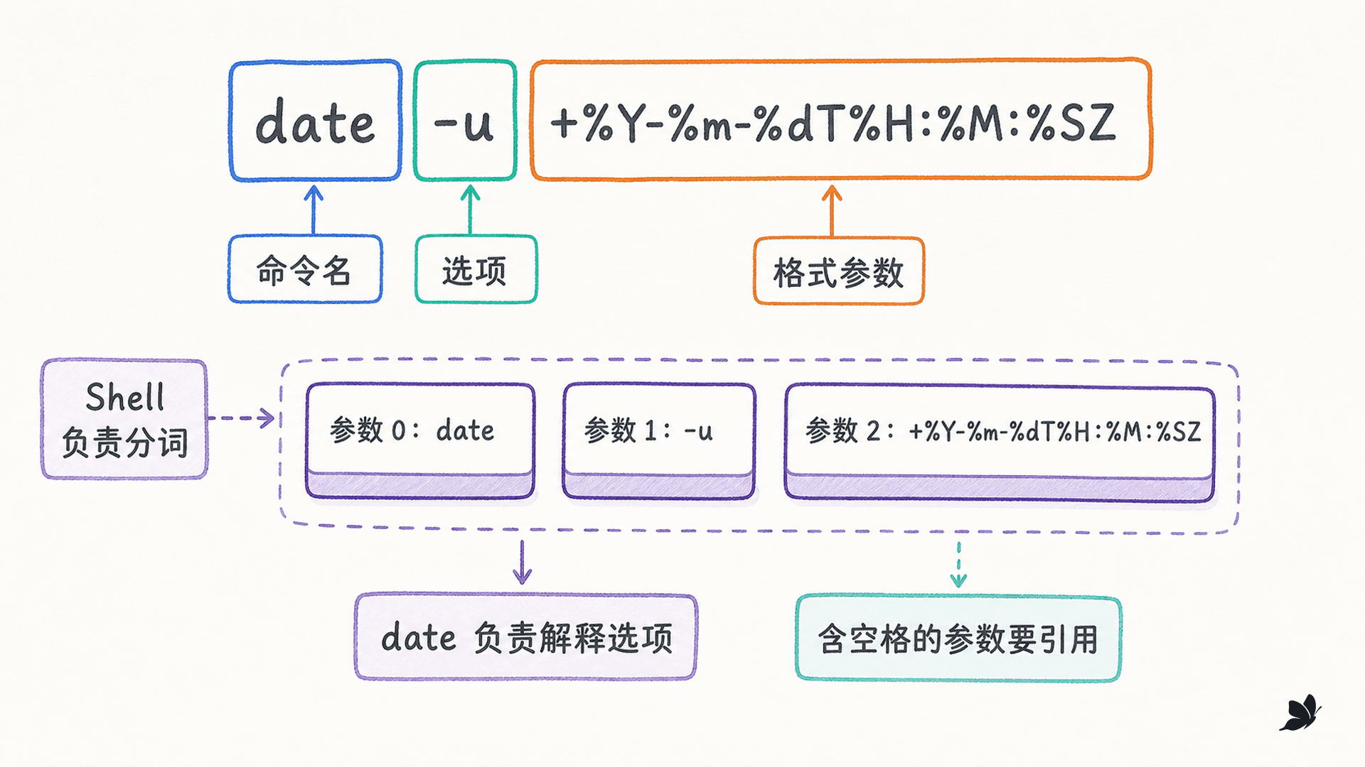 命令名、选项与参数的结构拆解