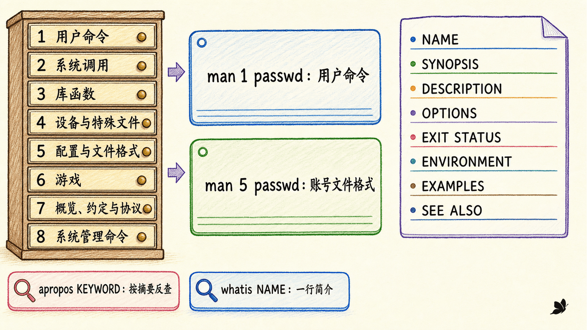 Linux 手册页 1 到 8 章的职责与 NAME、SYNOPSIS、OPTIONS、EXIT STATUS 导航