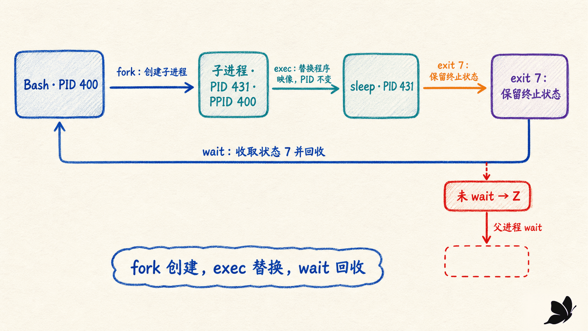 fork、exec、wait 与进程退出状态的完整生命周期