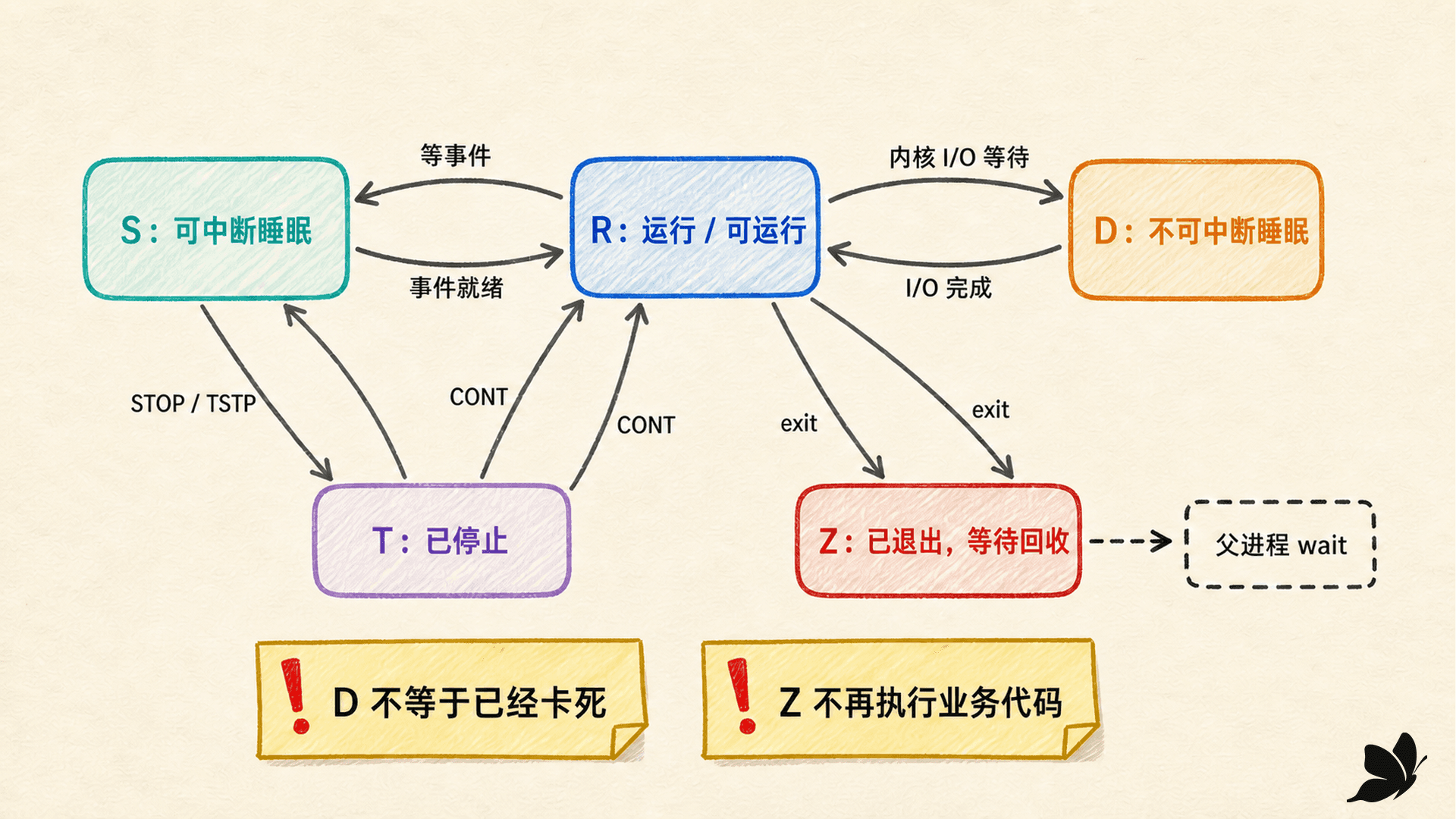 R、S、D、T、Z 进程状态转换与观测边界