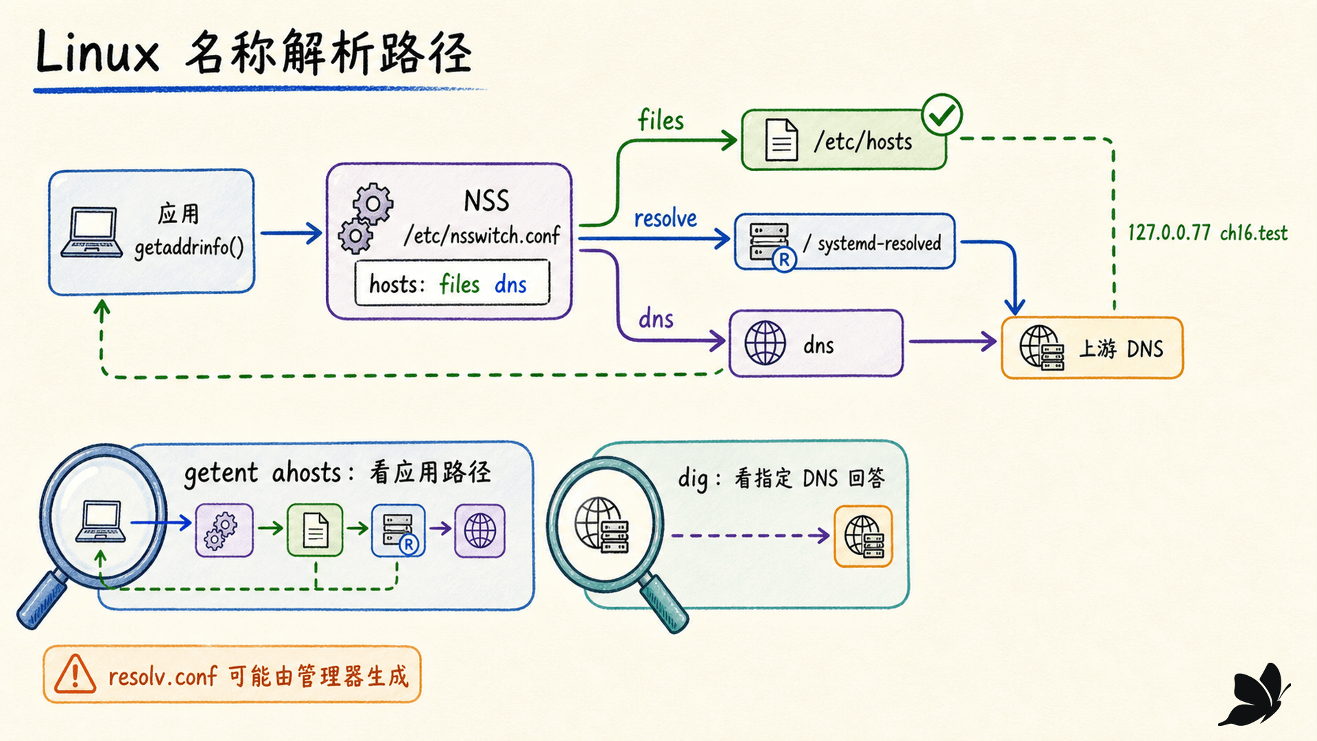 Linux 名称解析从应用经 NSS、hosts、resolved 到 DNS 的路径