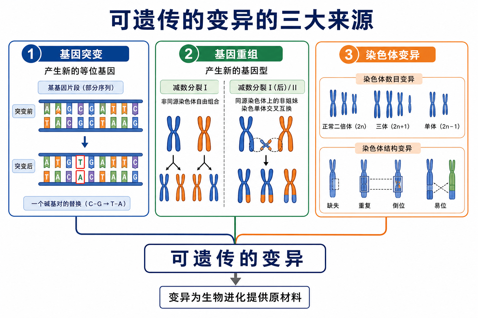 三类可遗传变异的关系