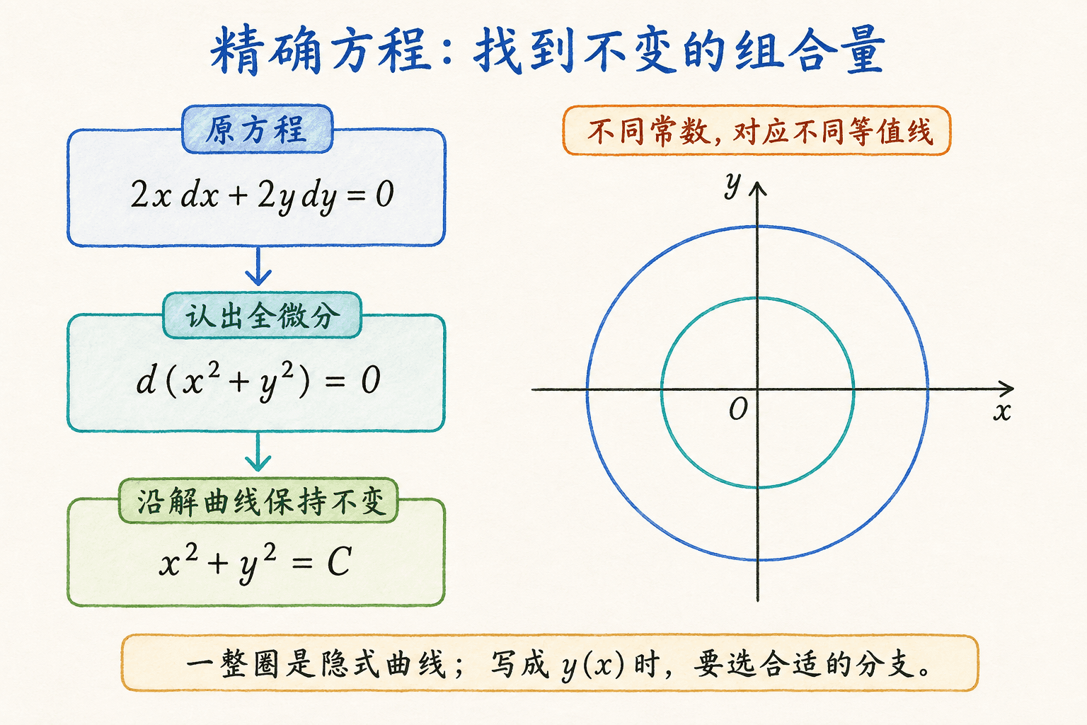 精确方程概念图：全微分为零给出同心圆等值线，函数解须选取合适分支