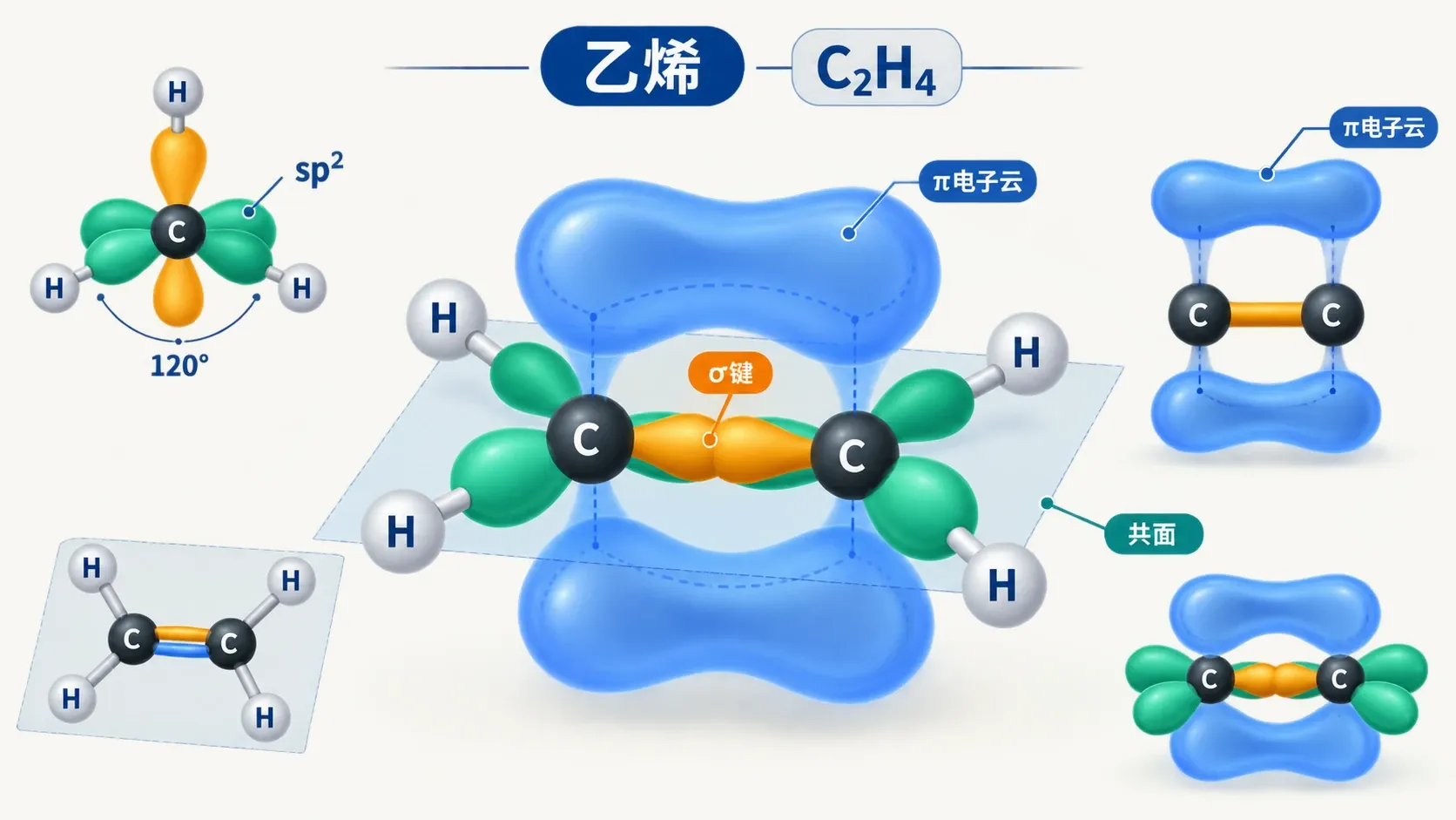 乙烯的平面sp2结构:σ键、平面内的杂化轨道和上下π电子云。
