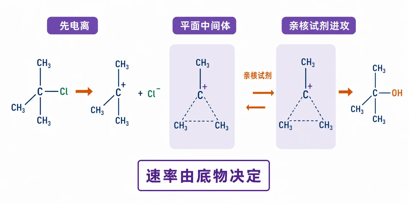 SN1 先电离形成碳正离子、可能重排、再被亲核试剂进攻