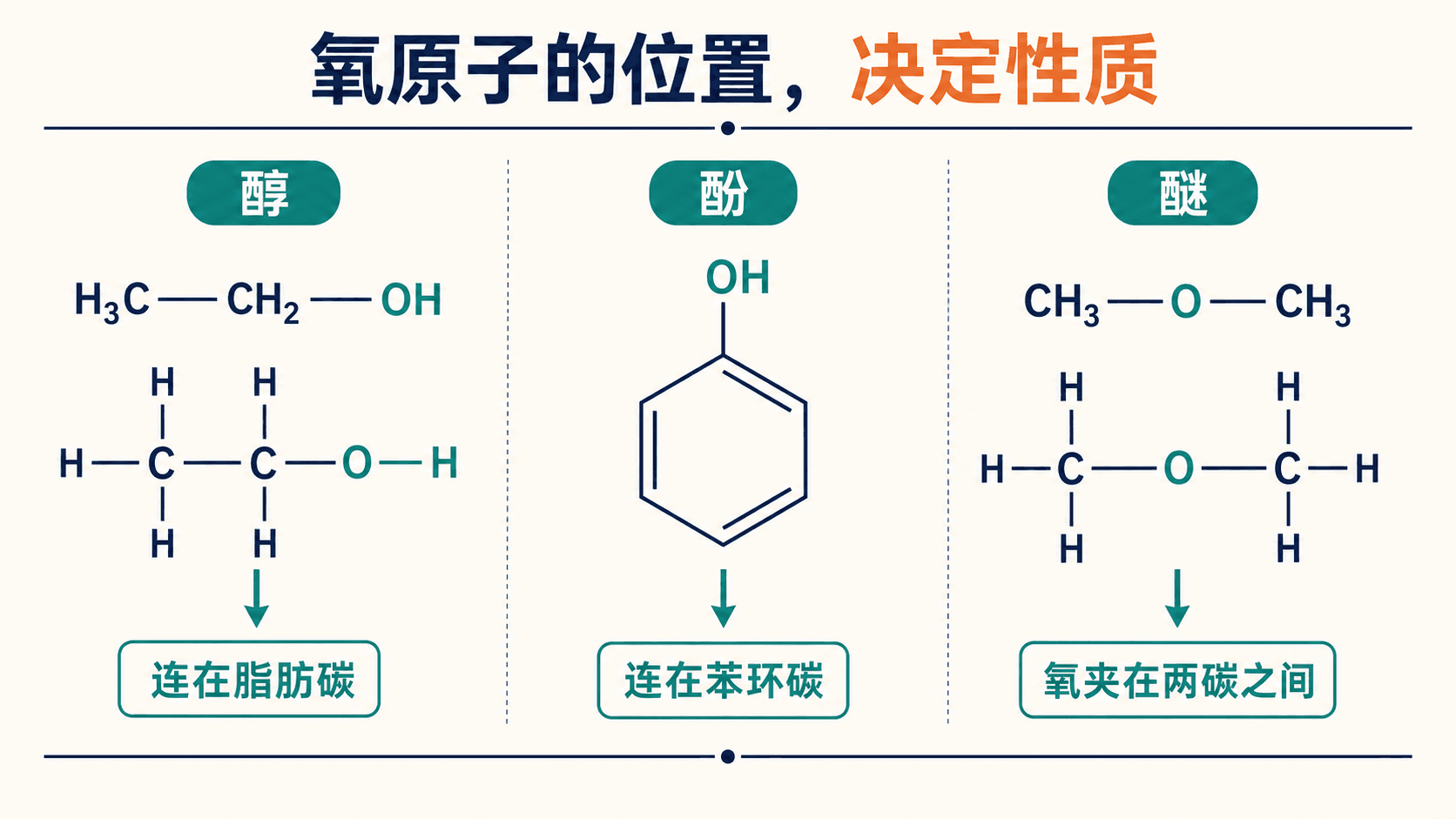 乙醇、苯酚与二甲醚的结构位置对比