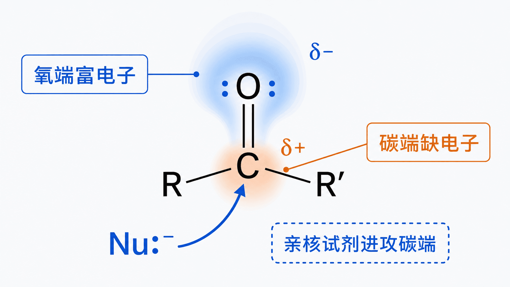 羰基中氧端富电子、碳端缺电子,亲核试剂向碳端靠近的示意图