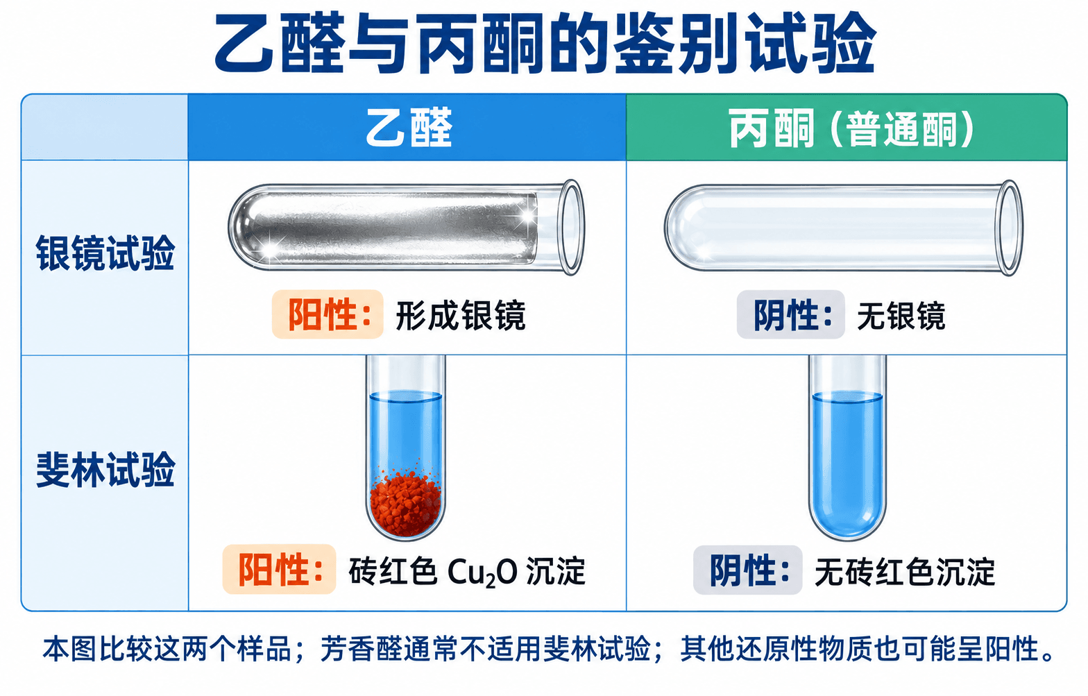 银镜反应与斐林反应中醛给出阳性、普通酮通常无明显反应的对比示意图
